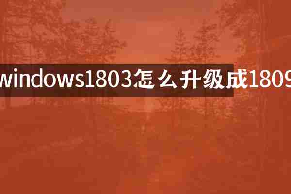 windows1803怎么升级成1809