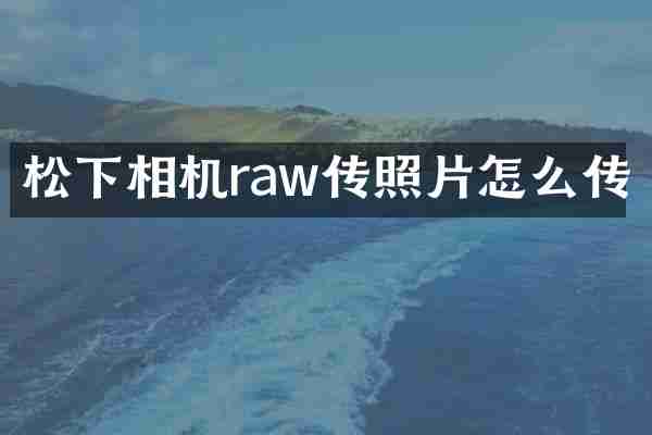 松下相机raw传照片怎么传