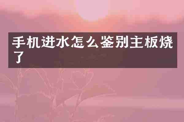 手机进水怎么鉴别主板烧了