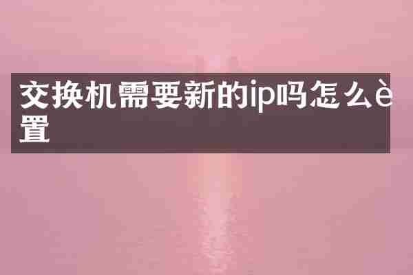 交换机需要新的ip吗怎么设置