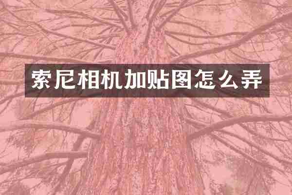 索尼相机加贴图怎么弄