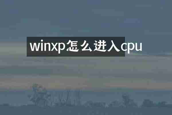 winxp怎么进入cpu