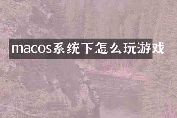 macos系统下怎么玩游戏