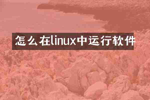 怎么在linux中运行软件