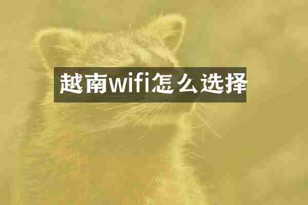 越南wifi怎么选择