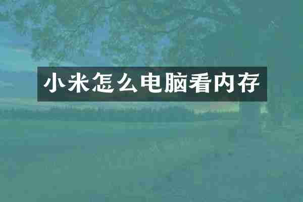小米怎么电脑看内存