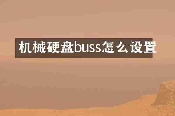 机械硬盘buss怎么设置