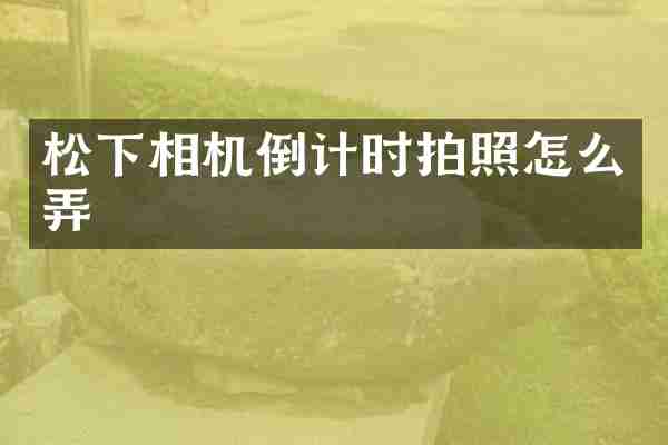 松下相机倒计时拍照怎么弄