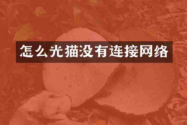 怎么光猫没有连接网络