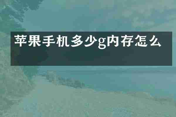 苹果手机多少g内存怎么看