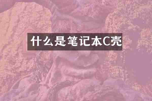 什么是笔记本C壳