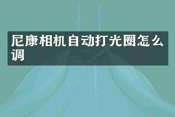 尼康相机自动打光圈怎么调