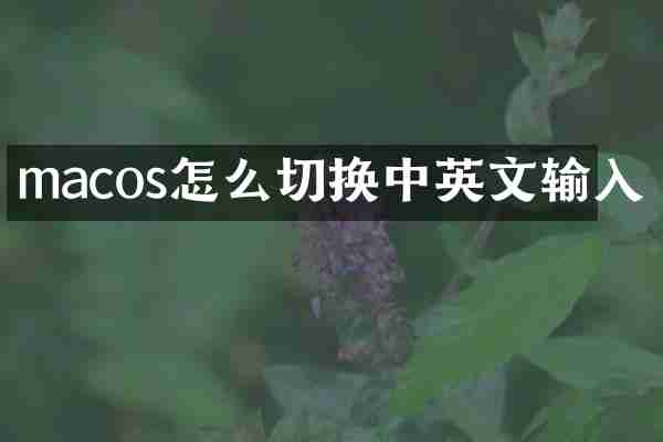 macos怎么切换中英文输入