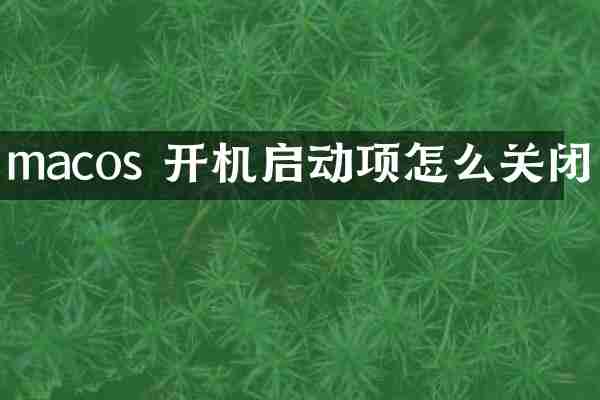 macos 开机启动项怎么关闭