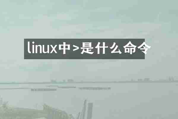linux中>是什么命令