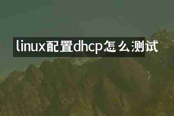 linux配置dhcp怎么测试