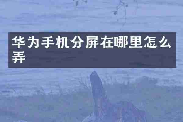 华为手机分屏在哪里怎么弄