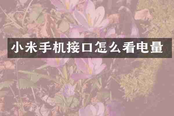 小米手机接口怎么看电量