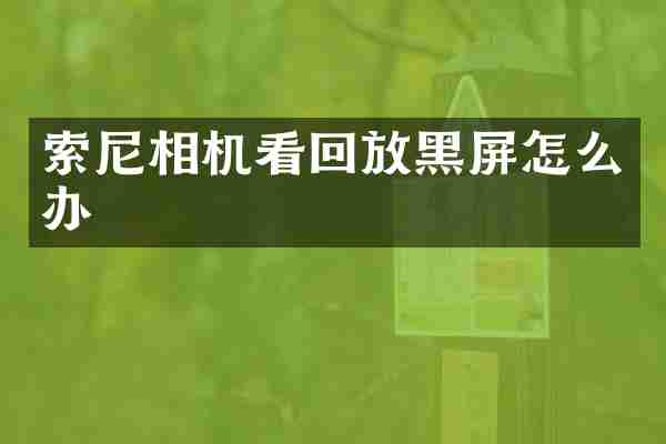 索尼相机看回放黑屏怎么办