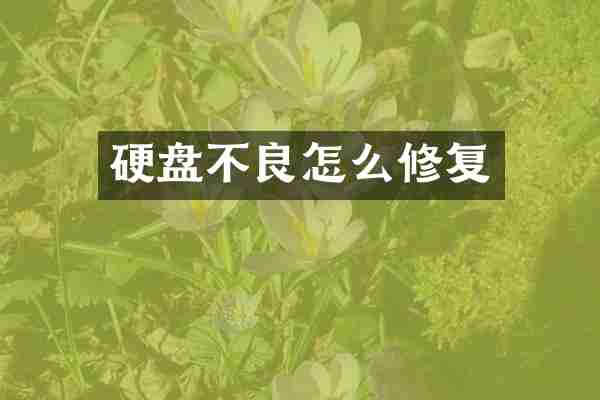 硬盘不良怎么修复