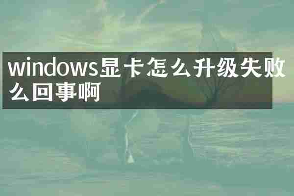 windows显卡怎么升级失败怎么回事啊