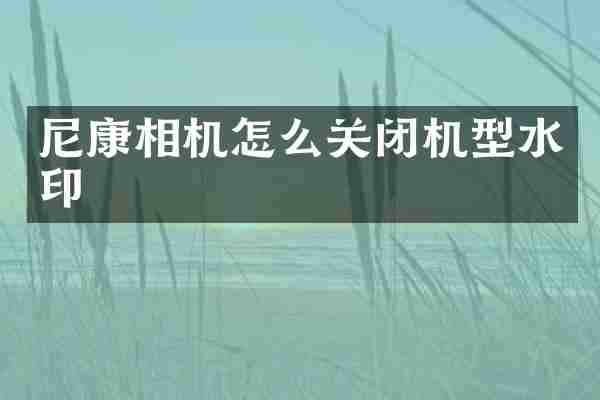 尼康相机怎么关闭机型水印