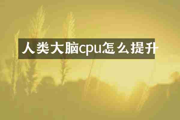 人类大脑cpu怎么提升