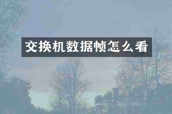 交换机数据帧怎么看