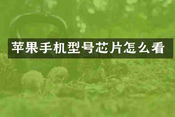 苹果手机型号芯片怎么看