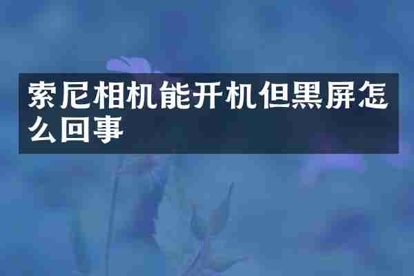 索尼相机能开机但黑屏怎么回事