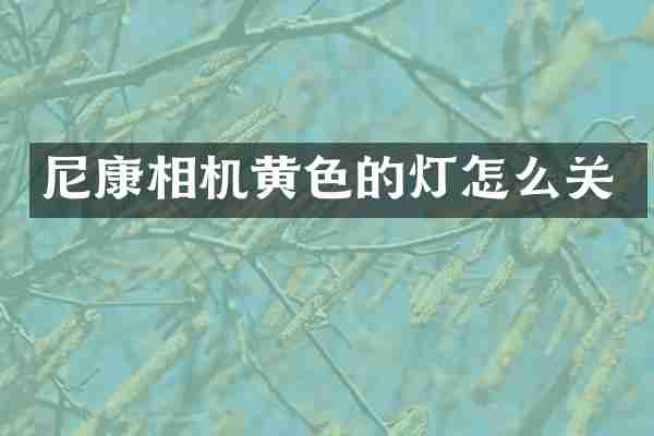 尼康相机黄色的灯怎么关