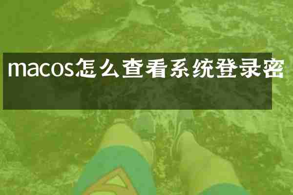 macos怎么查看系统登录密码