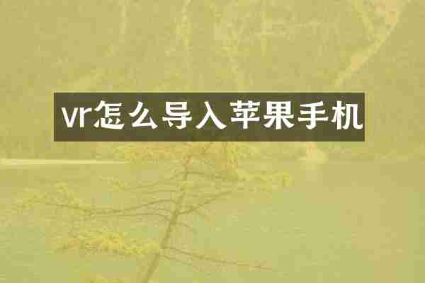 vr怎么导入苹果手机