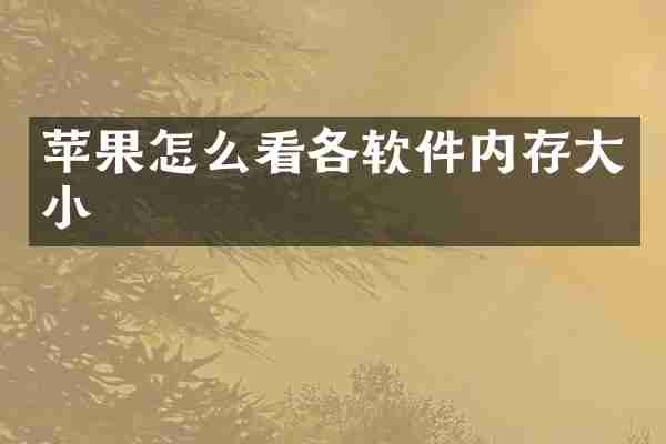 苹果怎么看各软件内存大小