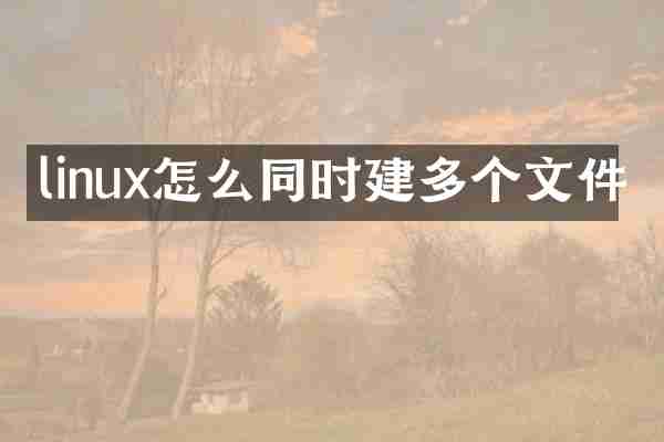 linux怎么同时建多个文件
