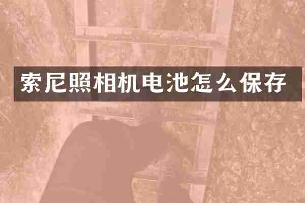 索尼照相机电池怎么保存
