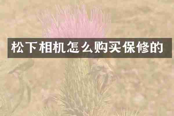 松下相机怎么购买保修的