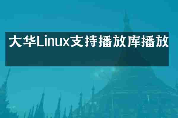 大华Linux支持播放库播放吗