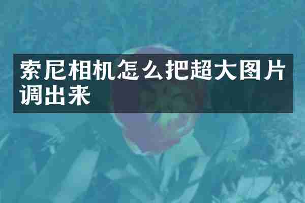 索尼相机怎么把超大图片调出来