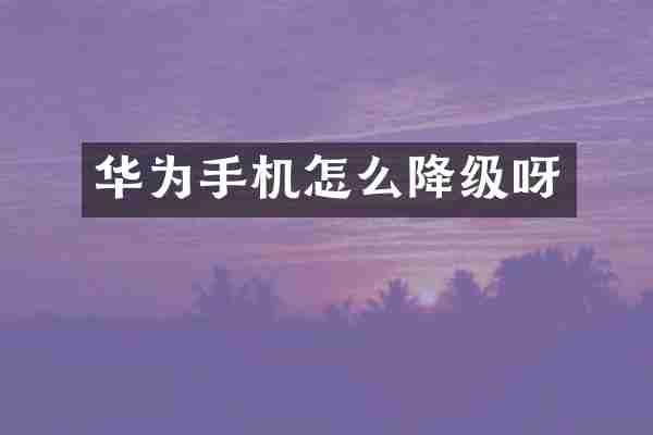 华为手机怎么降级呀