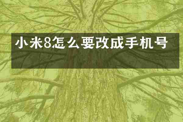 小米8怎么要改成手机号呢