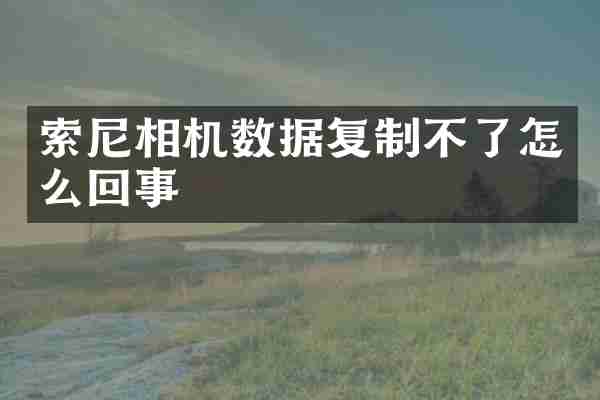索尼相机数据复制不了怎么回事