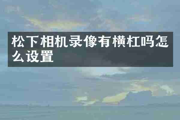 松下相机录像有横杠吗怎么设置