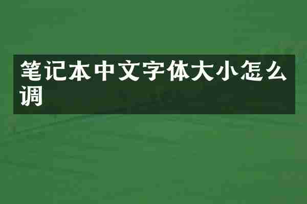 笔记本中文字体大小怎么调