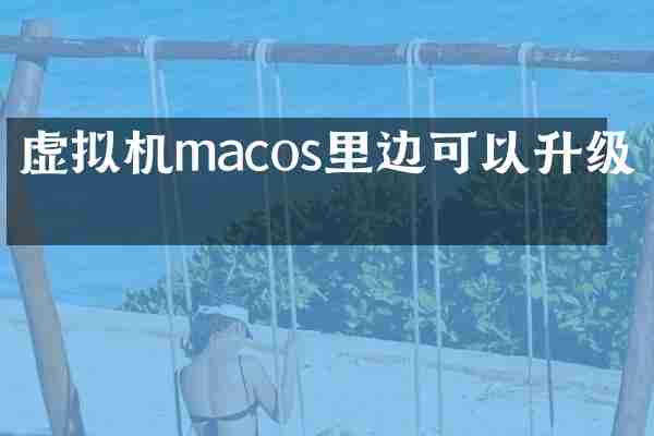虚拟机macos里边可以升级吗