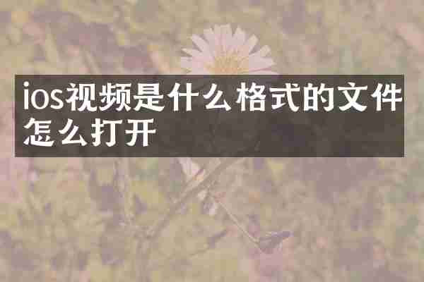 ios视频是什么格式的文件怎么打开