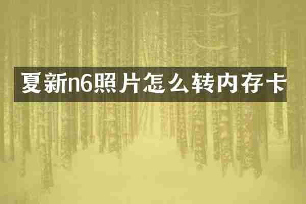 夏新n6照片怎么转内存卡