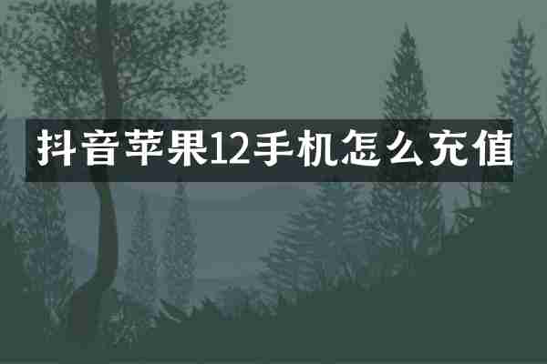 抖音苹果12手机怎么充值
