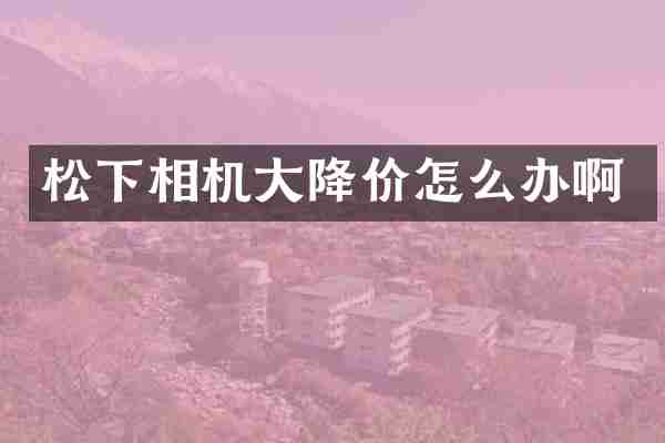 松下相机大降价怎么办啊
