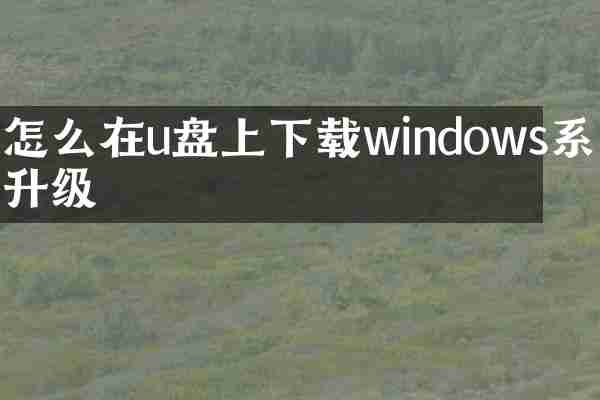 怎么在u盘上下载windows系统升级